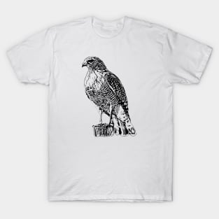 Hawk T-Shirt